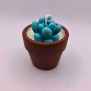 Maceta Con Suculenta Azul Vela Aromatizante